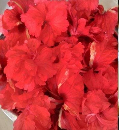 keezhur kaav pooja thumb